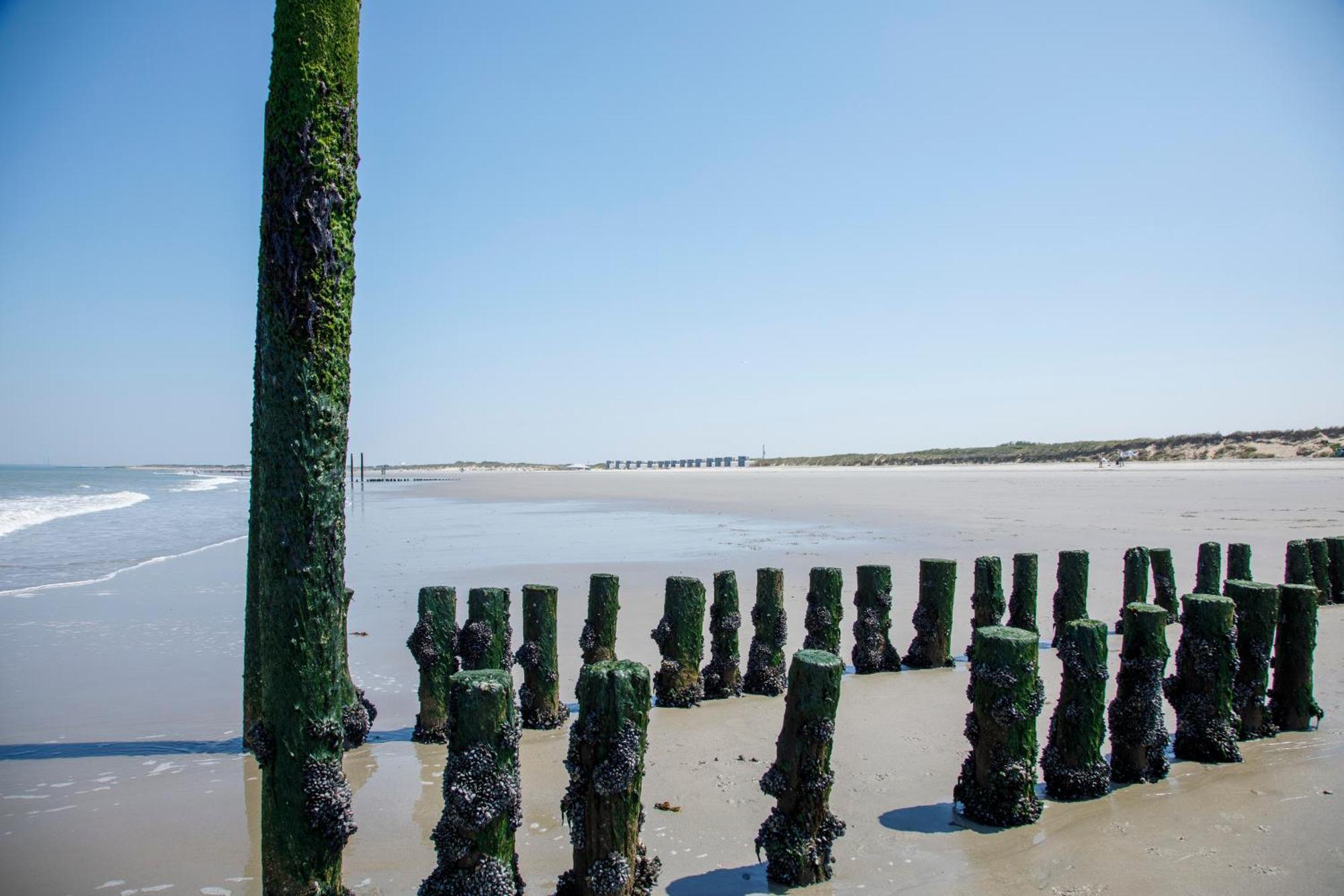 Zonneweelde, Vakantie Aan Zee Ньїввліт Екстер'єр фото